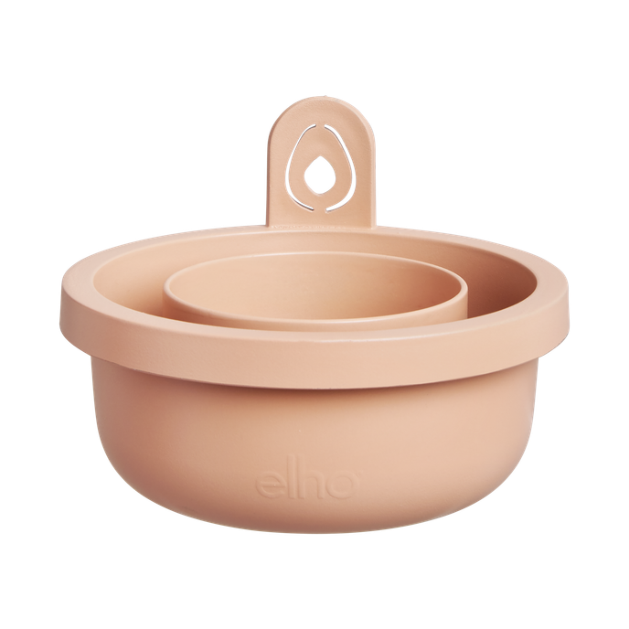 amazing avocado pot terra caramel